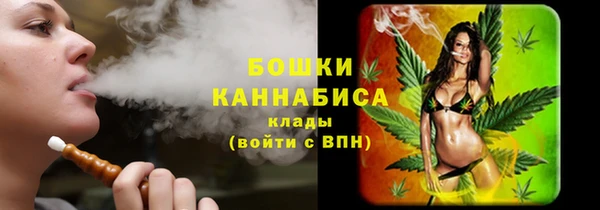 индика Бугульма